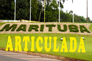 Marituba articulada 3