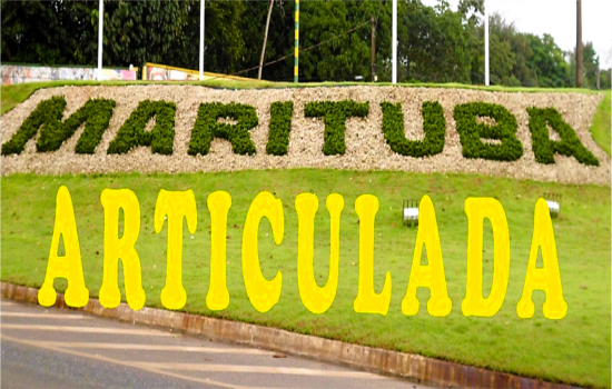 Marituba articulada 6